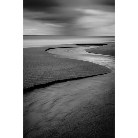 The Serpent Black Modern Wood Framed Art Print with Double Matting by Economou, Costas