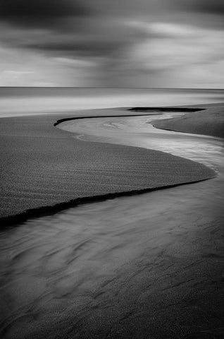 The Serpent White Modern Wood Framed Art Print with Double Matting by Economou, Costas