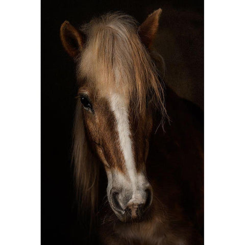 Sapience Black Modern Wood Framed Art Print with Double Matting by Benezech, Martine