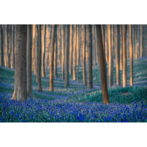 Dreams are made of these Black Modern Wood Framed Art Print with Double Matting by Popan, Adrian