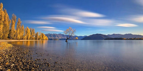 Autumn in Lake Wanaka White Modern Wood Framed Art Print with Double Matting by Zhu, Hua
