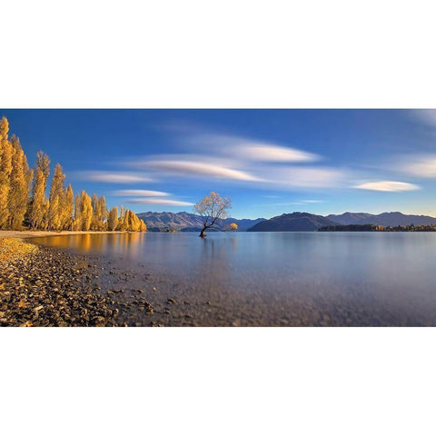Autumn in Lake Wanaka Black Modern Wood Framed Art Print by Zhu, Hua