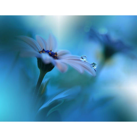 Beyond the Visible... White Modern Wood Framed Art Print by Nan, Juliana