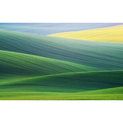 Lines Gold Ornate Wood Framed Art Print with Double Matting by Komovec, Ales