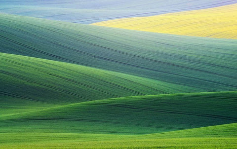 Lines Black Ornate Wood Framed Art Print with Double Matting by Komovec, Ales