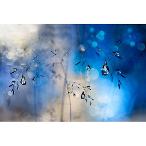 Blue rain Black Modern Wood Framed Art Print by Westum, Heidi