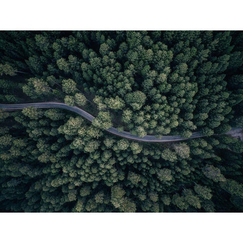 From above Black Modern Wood Framed Art Print with Double Matting by Carrillo Lopez, Antonio