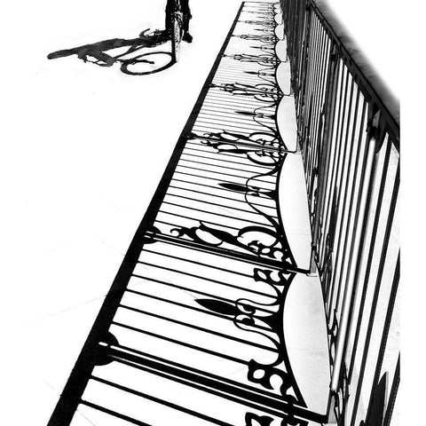 The boy on bicycle Gold Ornate Wood Framed Art Print with Double Matting by Elbar, Sara-Le