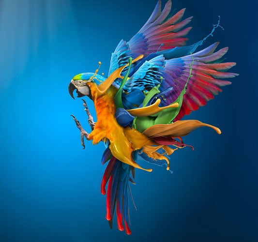Image Only