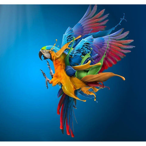 Flying Colours Black Modern Wood Framed Art Print by Almawash, Sulaiman