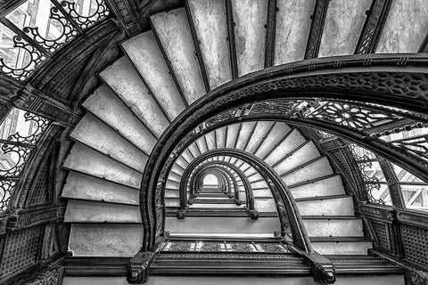 The Rookery White Modern Wood Framed Art Print with Double Matting by Sun, Yimei