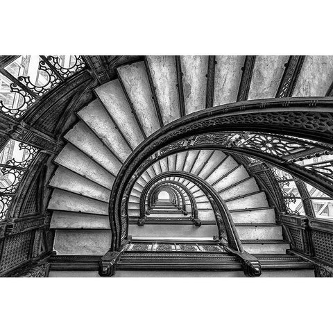 The Rookery Black Modern Wood Framed Art Print by Sun, Yimei