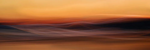 Where nothing grows White Modern Wood Framed Art Print with Double Matting by Westum, Heidi