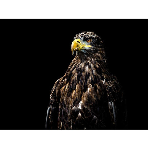 Ego Black Modern Wood Framed Art Print by Lechtenfeld, Christian