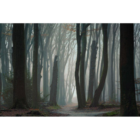 Follow Your Own Way Black Modern Wood Framed Art Print with Double Matting by Borggreve, Ellen