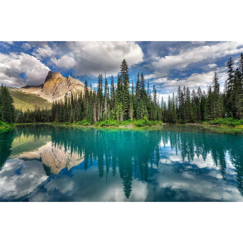 Emerald Black Modern Wood Framed Art Print by Dujic Lighthunter, Zoran