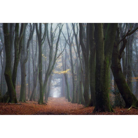 Lean On Me Black Modern Wood Framed Art Print with Double Matting by Borggreve, Ellen