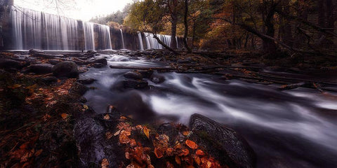 Gloom White Modern Wood Framed Art Print with Double Matting by Lechuga, Mario