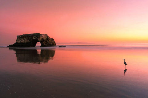 Sunset at the Natural Bridge-2 Black Ornate Wood Framed Art Print with Double Matting by Li, Rob