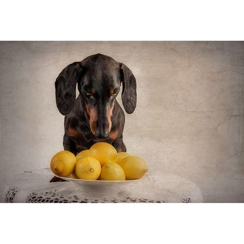 When Life Gives You Lemons... Gold Ornate Wood Framed Art Print with Double Matting by Willers, Heike