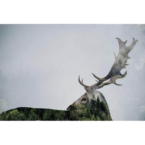 Antler Double-exposed Black Modern Wood Framed Art Print by Beata, Angyalosi