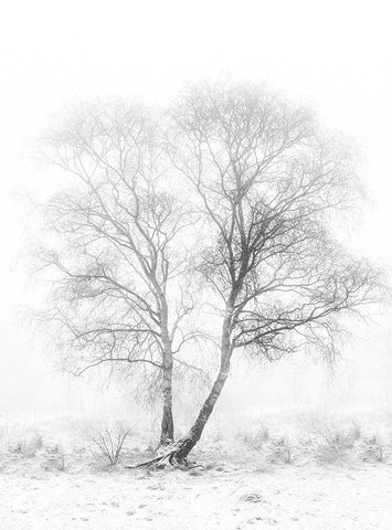 Early in the morning Black Ornate Wood Framed Art Print with Double Matting by Van Son, Greetje