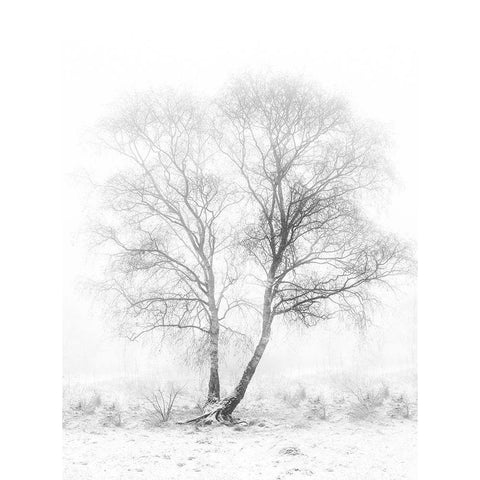 Early in the morning White Modern Wood Framed Art Print by Van Son, Greetje