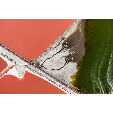 Natures painting White Modern Wood Framed Art Print by Macua, Gerald