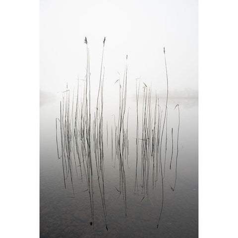 silence Black Modern Wood Framed Art Print with Double Matting by Ahern, David