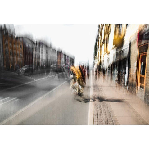 Bicycle tour White Modern Wood Framed Art Print by Chiriaco, Carmine