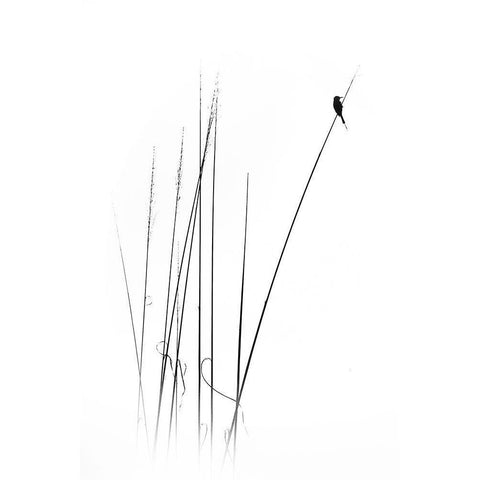 a sabbatical Black Modern Wood Framed Art Print by Swapnil.