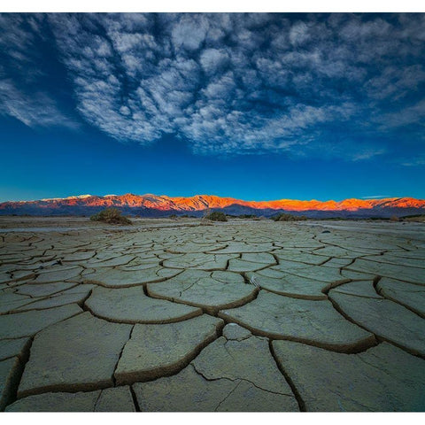 Dry Season Black Modern Wood Framed Art Print by Fan, John