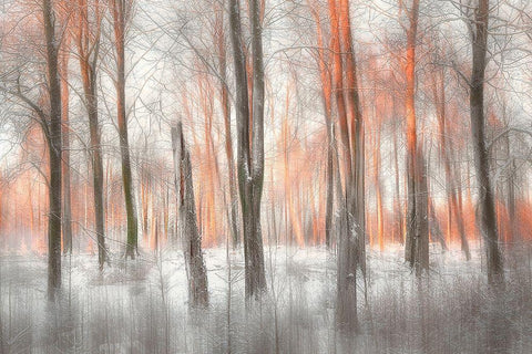 Evening Light White Modern Wood Framed Art Print with Double Matting by Davidsson, Gustav