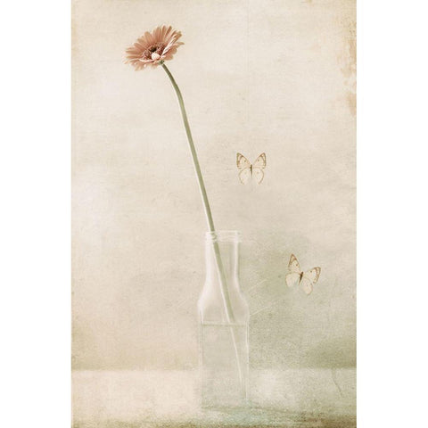 Miss Daisy White Modern Wood Framed Art Print by Devos, Delphine