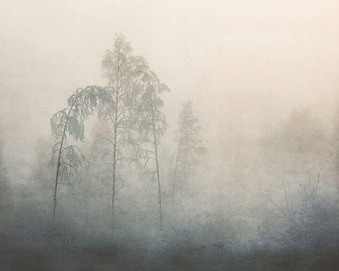 -20 White Modern Wood Framed Art Print with Double Matting by KvÃ¦rnstrÃ¸m, Ã…smund