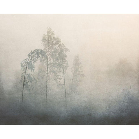 -20 Black Modern Wood Framed Art Print by KvÃ¦rnstrÃ¸m, Ã…smund