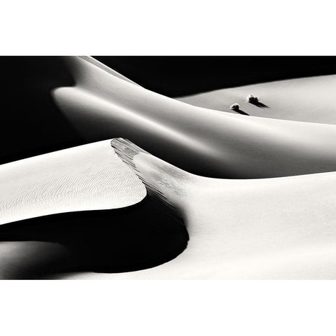 Life Black Modern Wood Framed Art Print with Double Matting by Momeni, Mohammadreza