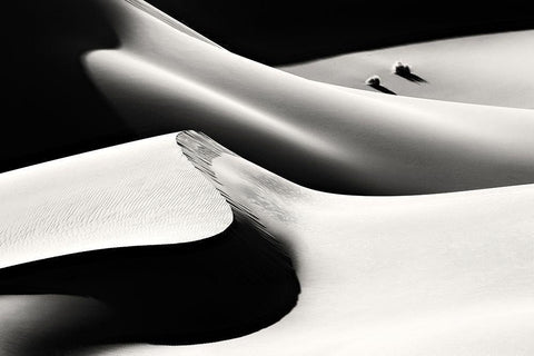 Life White Modern Wood Framed Art Print with Double Matting by Momeni, Mohammadreza