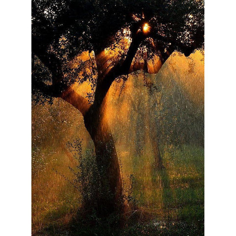 light shower Black Modern Wood Framed Art Print by Castoldi, Stefano