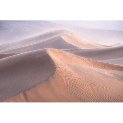 Wind White Modern Wood Framed Art Print by Cia, Inigo