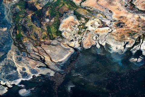 Splendid Africa Black Ornate Wood Framed Art Print with Double Matting by Fan, John