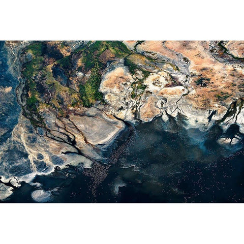 Splendid Africa Gold Ornate Wood Framed Art Print with Double Matting by Fan, John