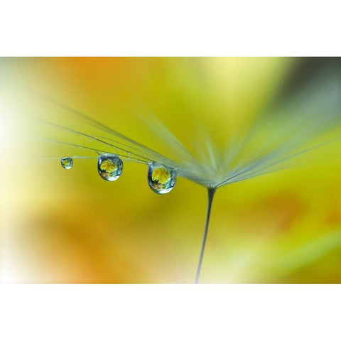 SunBeam III Black Modern Wood Framed Art Print by Nan, Juliana