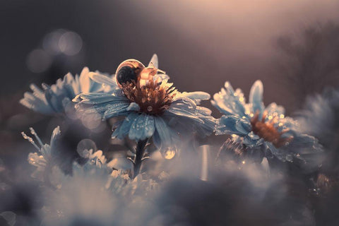 Riding Zone Black Ornate Wood Framed Art Print with Double Matting by Bravin, Fabien