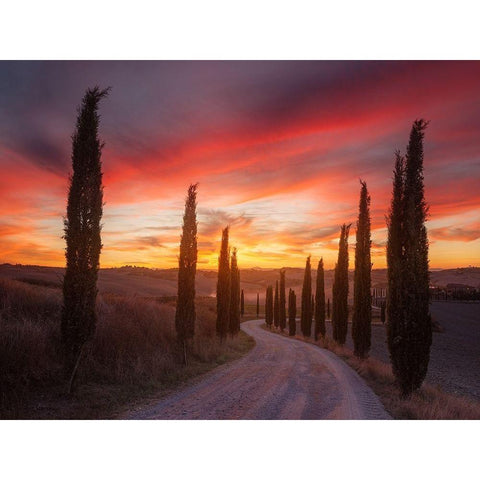 Tuscany sunset Black Modern Wood Framed Art Print by Anton, Rostovskiy