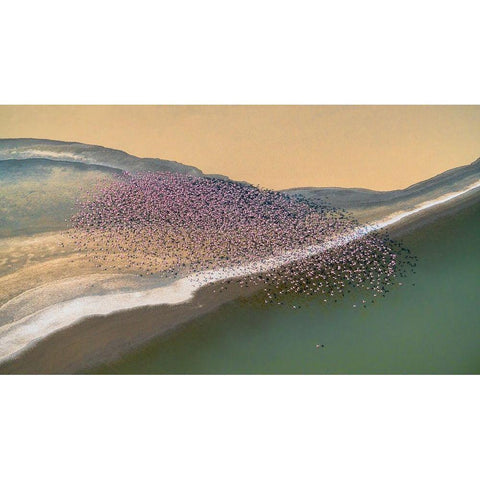 Gone with the Wind Black Modern Wood Framed Art Print with Double Matting by Fan, John