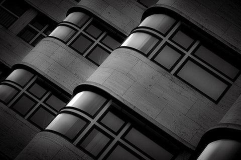 Shell Black Ornate Wood Framed Art Print with Double Matting by Buder, Stefan