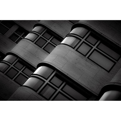 Shell Black Modern Wood Framed Art Print by Buder, Stefan