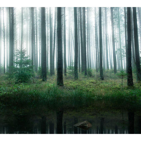 Lake in forest Black Modern Wood Framed Art Print by Lindsten, Christian