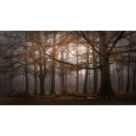 Foggy memory  of the past White Modern Wood Framed Art Print by Dingemans, Saskia